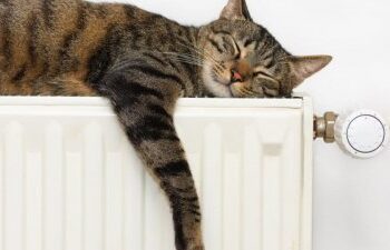 Опалювальний сезон у Миколаєві: коли почнеться » Миколаївський Оглядач