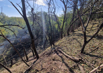 Російська авіабомба влучила по осторову Хортиця у Запоріжжі – екоіспекція показала наслідки  | Новости Запорожья