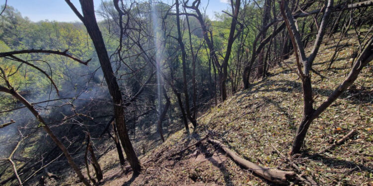Російська авіабомба влучила по осторову Хортиця у Запоріжжі – екоіспекція показала наслідки  | Новости Запорожья