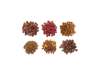 Преимущества сухого корма для котов