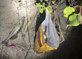 У Каневі виявили трьох браконьєрів, які заважали збитків на понад 20 тисяч