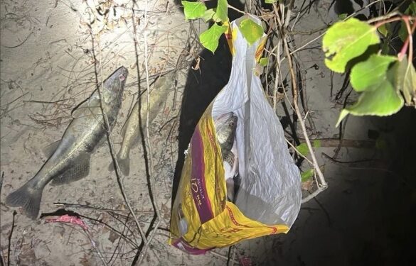 У Каневі виявили трьох браконьєрів, які заважали збитків на понад 20 тисяч