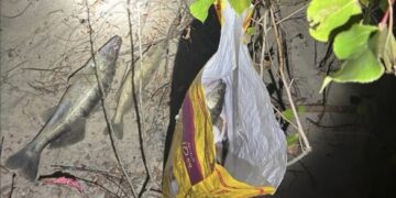 У Каневі виявили трьох браконьєрів, які заважали збитків на понад 20 тисяч