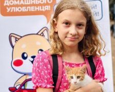 У Миколаєві ще 7 котів та 7 собак з «Центр захисту тварин» знайшли новий дім під час виставки-прилаштування » Миколаївський Оглядач