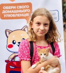 У Миколаєві ще 7 котів та 7 собак з «Центр захисту тварин» знайшли новий дім під час виставки-прилаштування » Миколаївський Оглядач