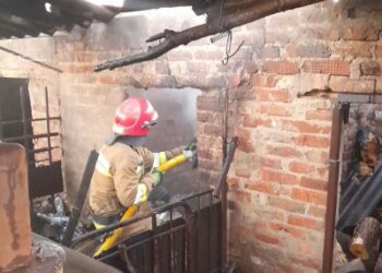 У Миколаївській області рятувальники ліквідували 5 пожеж різного характеру » Миколаївський Оглядач