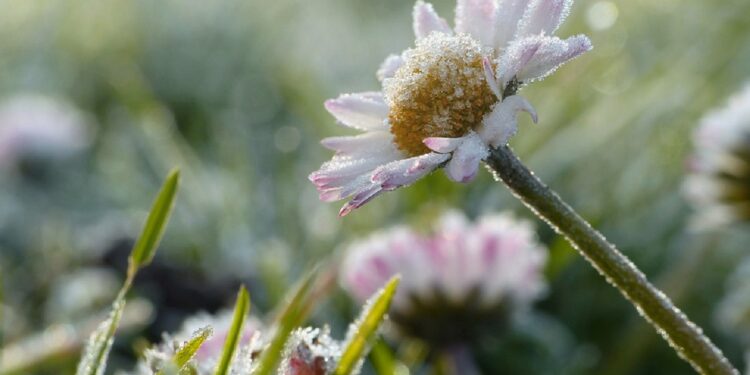 У Запоріжжі будуть заморозки – прогноз погоди на 17 та 18 жовтня | Новости Запорожья