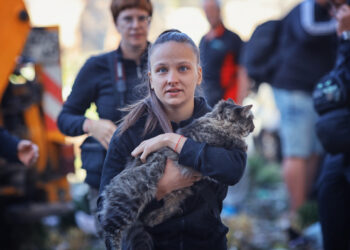У Запоріжжі просять допомогти молодому подружжю, яке залишилося без квартири після обстрілу | Новости Запорожья