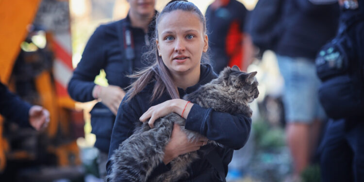У Запоріжжі просять допомогти молодому подружжю, яке залишилося без квартири після обстрілу | Новости Запорожья