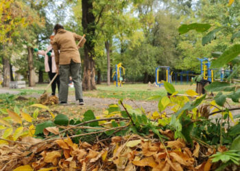 У Запоріжжі створили красиву та корисну для ґрунту клумбу – фото | Новости Запорожья