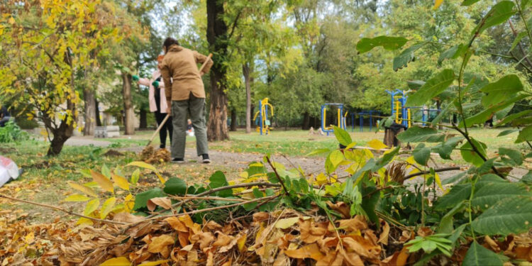 У Запоріжжі створили красиву та корисну для ґрунту клумбу – фото | Новости Запорожья