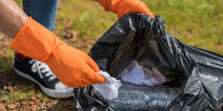 У Запоріжжі відбудеться екотолока – прибирання парку імені Сагайдачного | Новости Запорожья