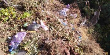 У Запоріжжі виявили стихійне сміттєзвалище – подробиці | Новости Запорожья