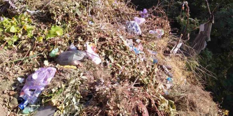 У Запоріжжі виявили стихійне сміттєзвалище – подробиці | Новости Запорожья