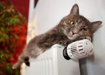 У Запорізькій міськраді розповіли чи подорожчають тарифи на тепло цього року – деталі | Новости Запорожья