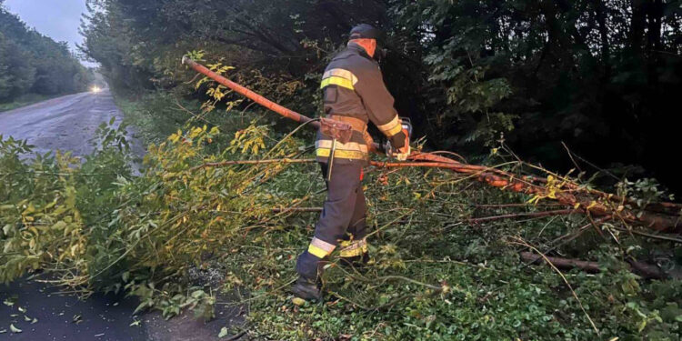 У Житомирському районі рейсовий автобус застряг у кюветі | Журнал Житомира