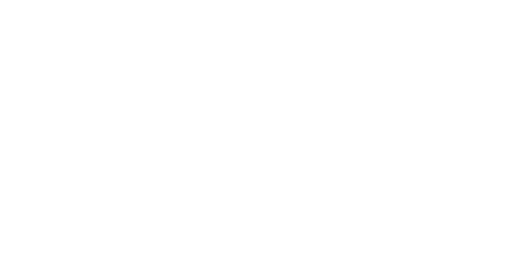 Украинские и грузинские болельщики устроили драку после матча в Лиге наций УЕФА