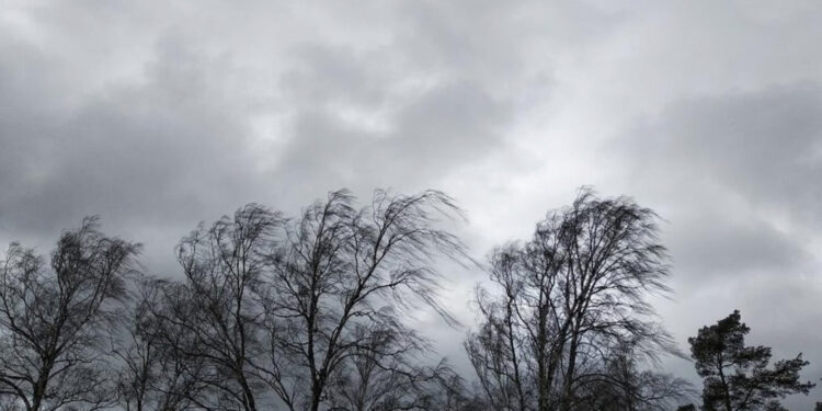 В Житомирській області на 14 жовтня оголошено І рівень небезпеки через прогноз сильних поривів вітру | Журнал Житомира