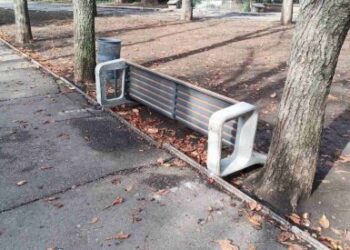 Вандали викрали ялівці та перевернули лавку в скверах Миколаєва » Миколаївський Оглядач