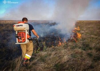За добу на Миколаївщині виникло 11 пожеж » Миколаївський Оглядач