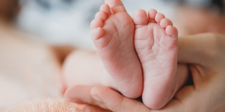 За вісім місяців 2024 року у Запоріжжі народилось 2145 немовлят. | Новости Запорожья