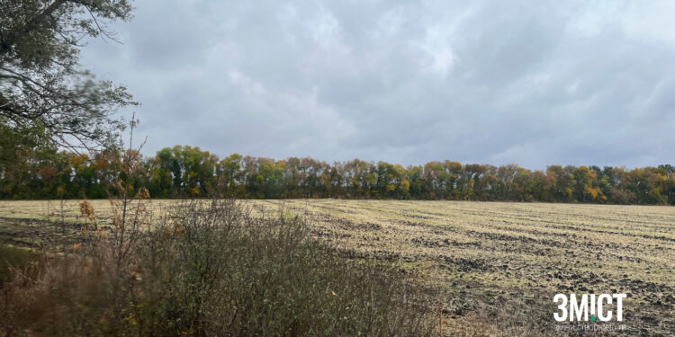 Засуха на Полтавщині: заморозки підсушили землю – ПОЛТАВА СЬОГОДНІ