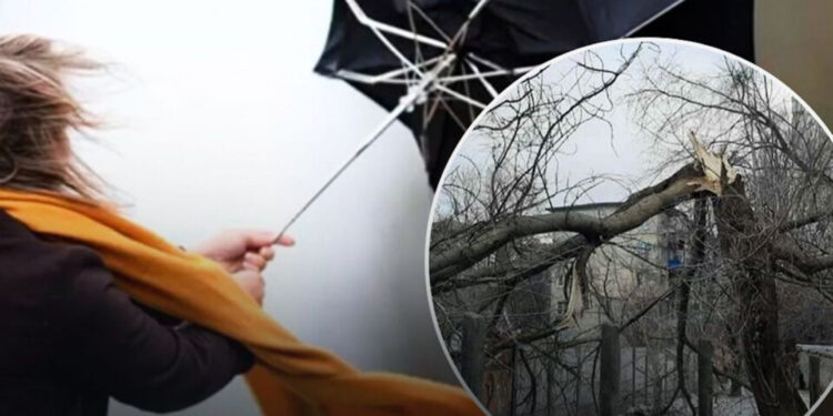 4 листопада на Житомирщині І рівень небезпечності через пориви вітру | Журнал Житомира