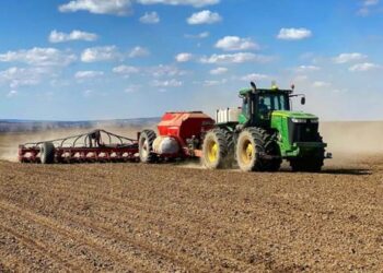 Українські аграрії засіяли 98% озимих культур від прогнозованих площ – ЭКОНОМИКА