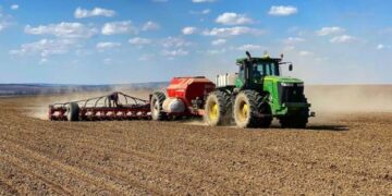 Українські аграрії засіяли 98% озимих культур від прогнозованих площ – ЭКОНОМИКА