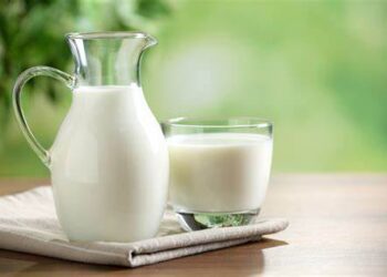 Німці будують гігантський завод із виробництва культивованого молока – ЭКОНОМИКА