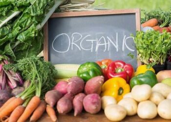 Виробники органічної продукції можуть отримати до 5 тис. євро – ЭКОНОМИКА