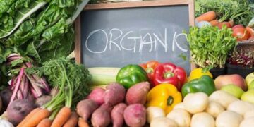 Виробники органічної продукції можуть отримати до 5 тис. євро – ЭКОНОМИКА