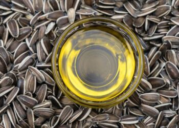 В Україні переробка соняшнику в жовтні набрала обертів – ЭКОНОМИКА