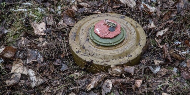 Американські інженери створили лазер для швидкого виявлення мін під землею – Экономика