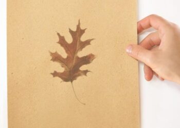 Українці запустили перше в світі індустріальне виробництво целюлози із опалого листя – ЭКОНОМИКА