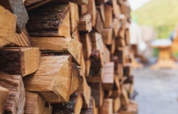 Деякі жителі Канівської громади отримають грошову допомогу на придбання дров