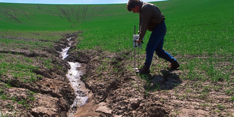 До половини земель на півночі Полтавщини руйнує ерозія