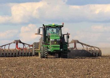 Українські аграрії намолотили вже 66,7 млн т зернових та олійних культур – ЭКОНОМИКА