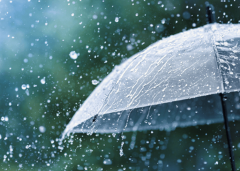 Якою у Запоріжжі буде погода 21 та 22 листопада – прогноз | Новости Запорожья