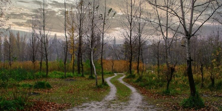 Якою у Запоріжжі буде погода 25, 26 та 27 листопада – прогноз | Новости Запорожья