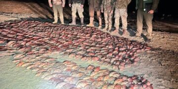 На Черкащині виявили двох чоловіків, які наловили риби на 7 мільйонів гривень збитків
