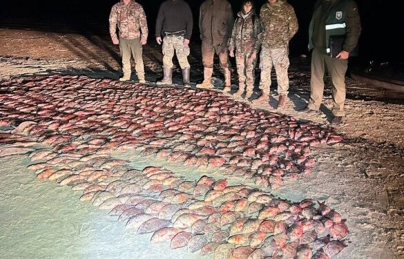 На Черкащині виявили двох чоловіків, які наловили риби на 7 мільйонів гривень збитків