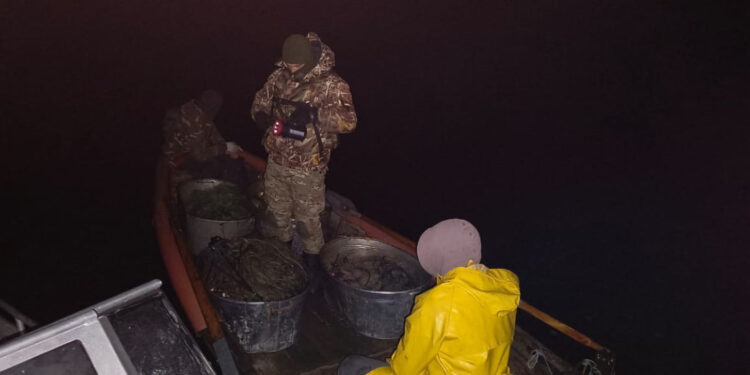 На Полтавщині викрили браконьєрів, які сітками наловили риби