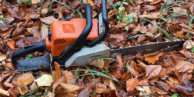 На Тернопільщині чоловік рубав дерева у заповіднику