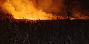 На Звенигородщині сталися дві пожежі на відкритих територіях