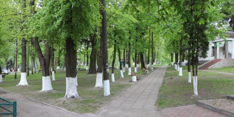 Парк Гагаріна в Олевську перейменували на Древлянський | Журнал Житомира