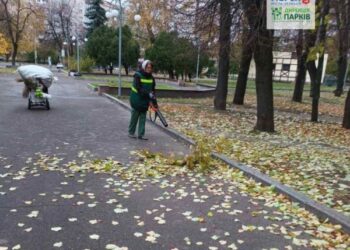 Парки та сквери Черкас готують до зимівлі — Новости Черкасс