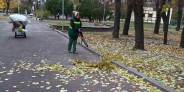 Парки та сквери Черкас готують до зимівлі — Новости Черкасс