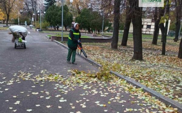 Парки та сквери Черкас готують до зимівлі — Новости Черкасс
