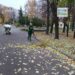 Парки та сквери Черкас готують до зимівлі — Новости Черкасс